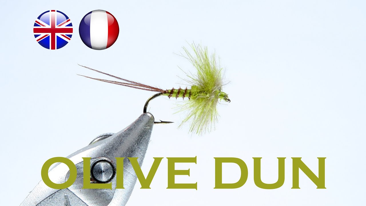 Montage mouche - Fly Tying (Olive à Ailes Bleues - Olive Dun) [Mouche Truite - Trout Fly] Magic Tool