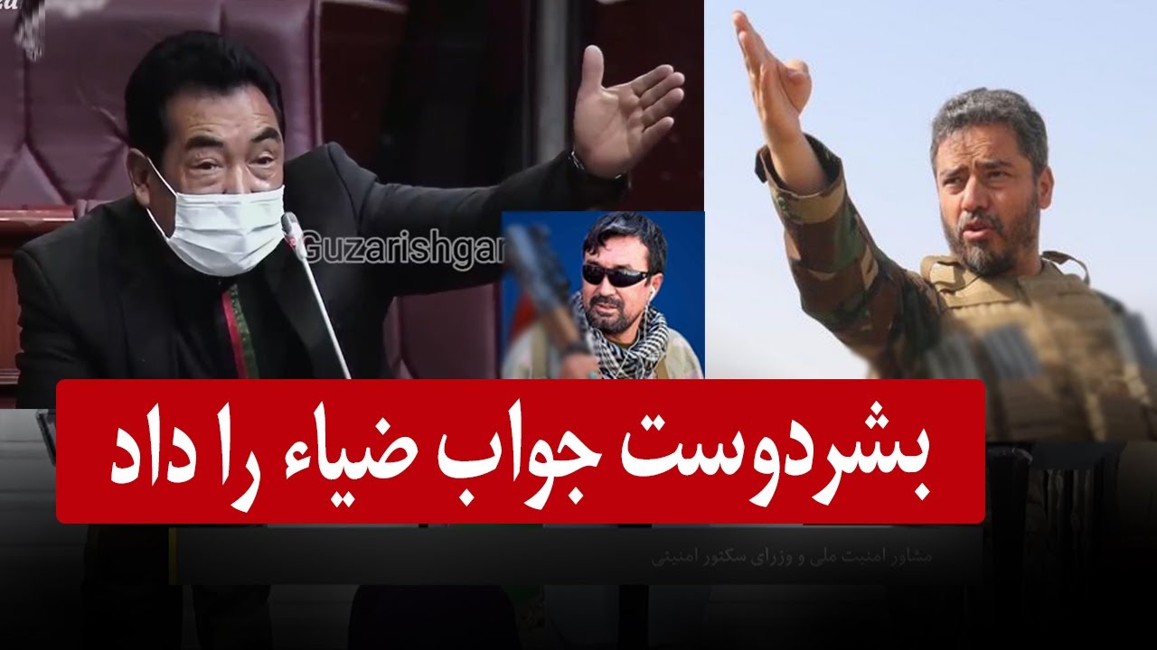 قصورخوانی ضیا بالای علیپور و جواب دندانشکن بشردوست