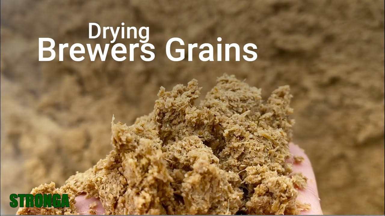 Drying Brewer’s Grains with Stronga FlowDrya
