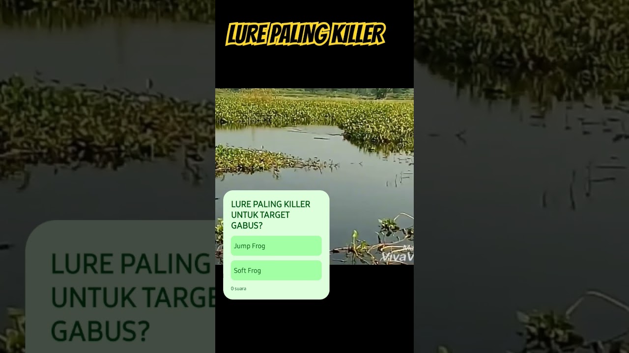 MENURUT KALIAN JENIS LURE APA YANG PALING KILLER UNTUK TARGET IKAN GABUS? #crazyfishing #spotfishing
