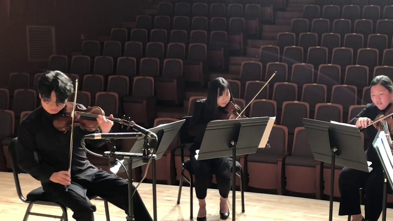 B Rossette - 하얀거탑 OST | String Quartet Ver.
