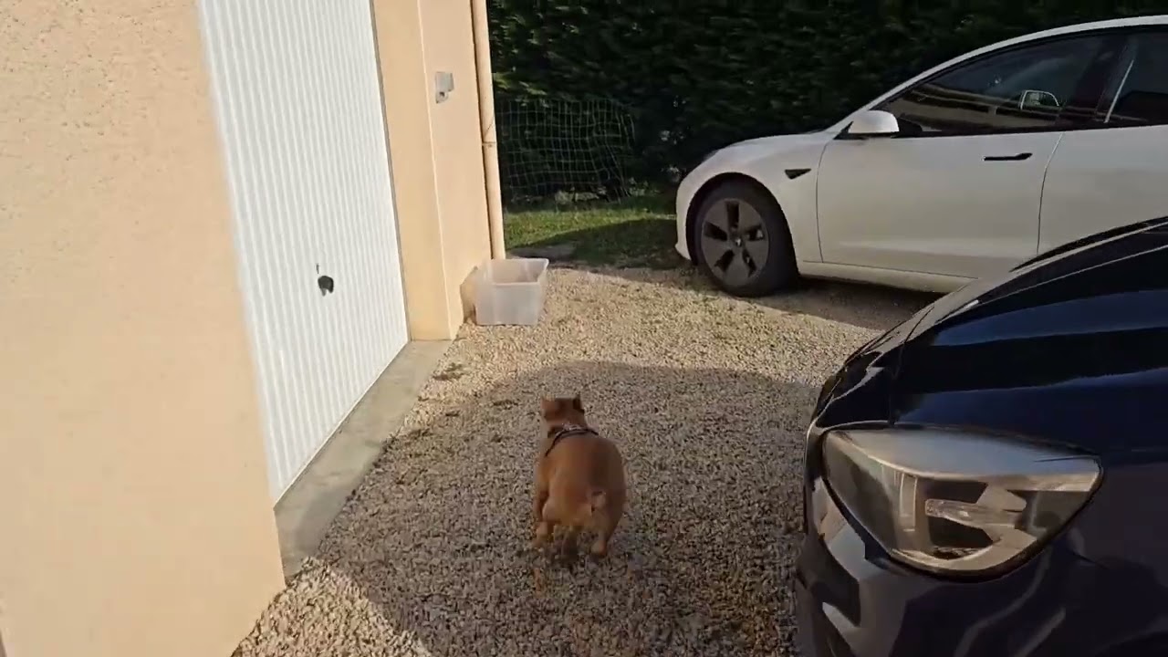 Housse de siège universel uxoiemio installation Tesla 3