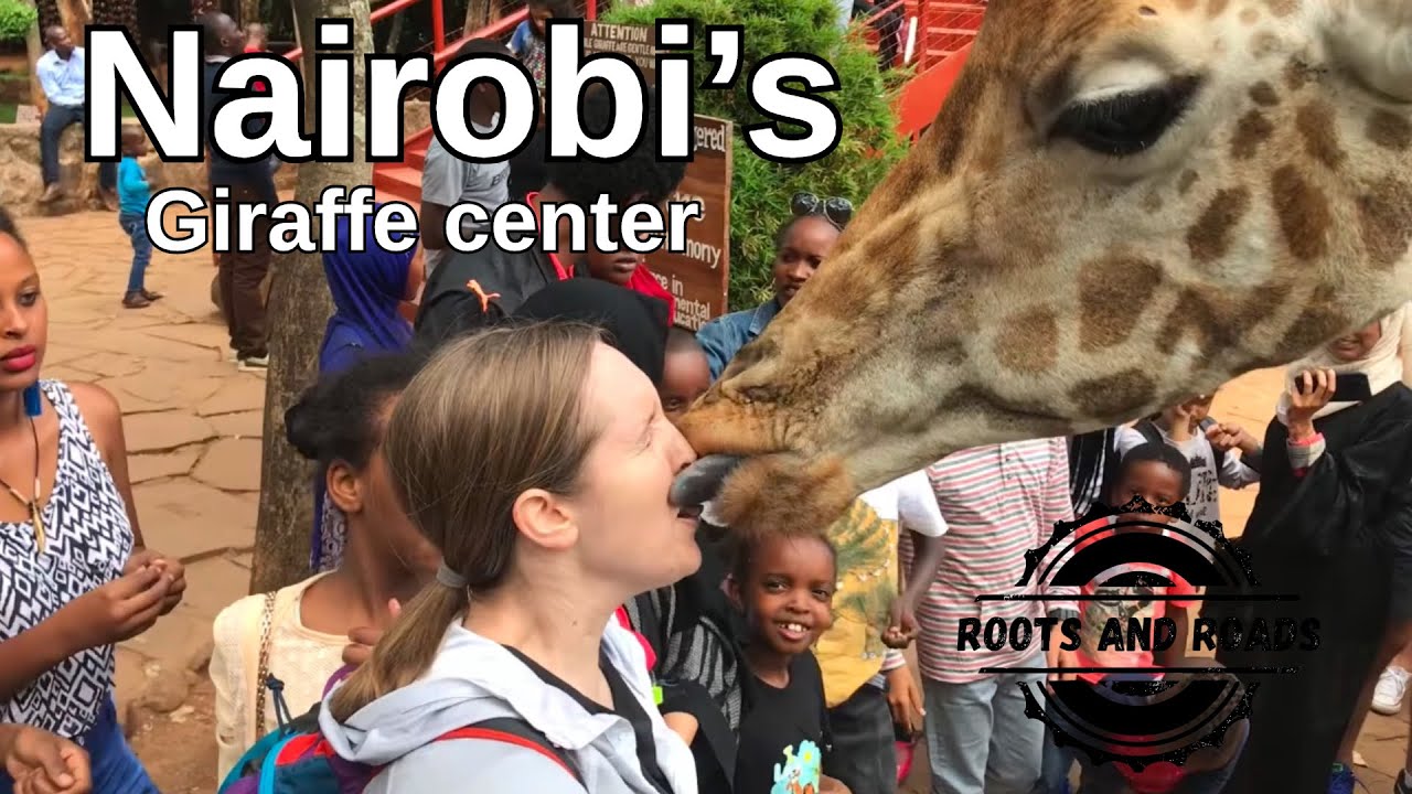 Up Close with Giraffes! Exploring Nairobi&rsquo;s Giraffe Center