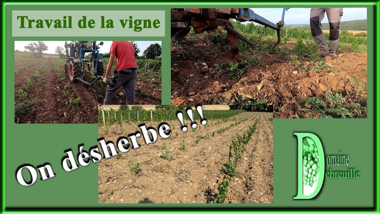 Travail du sol dans les plantations