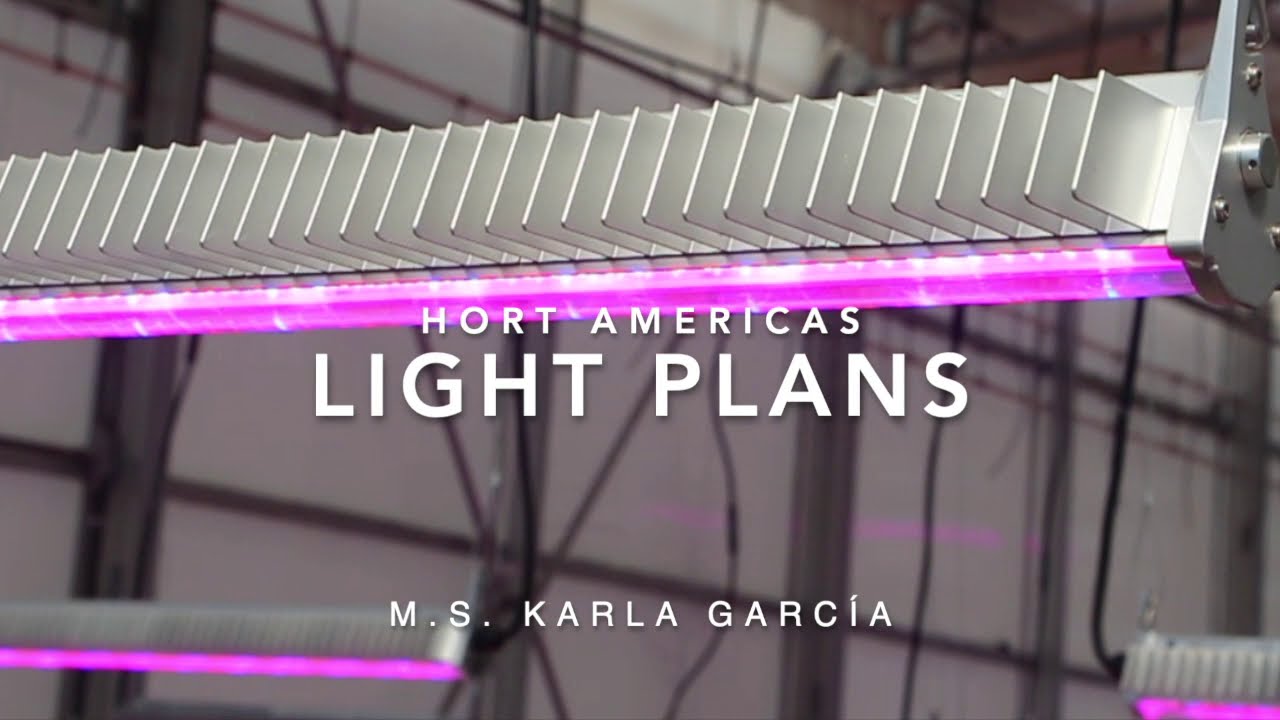 Greenhouse Light Plans & Vertical Farm Lighting Design | Artificial Lighting for Greenhouse Farming