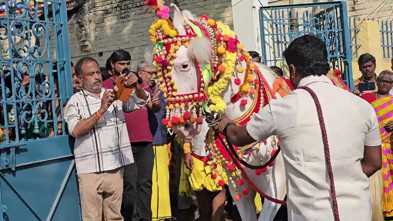 சேலம் அம்மாபேட்டை ஸ்ரீ மாதேஸ்வரன் கோயில் 2026 கும்பாபிஷேகம். இன்று தீர்த்த குட ஊர்வலம்...