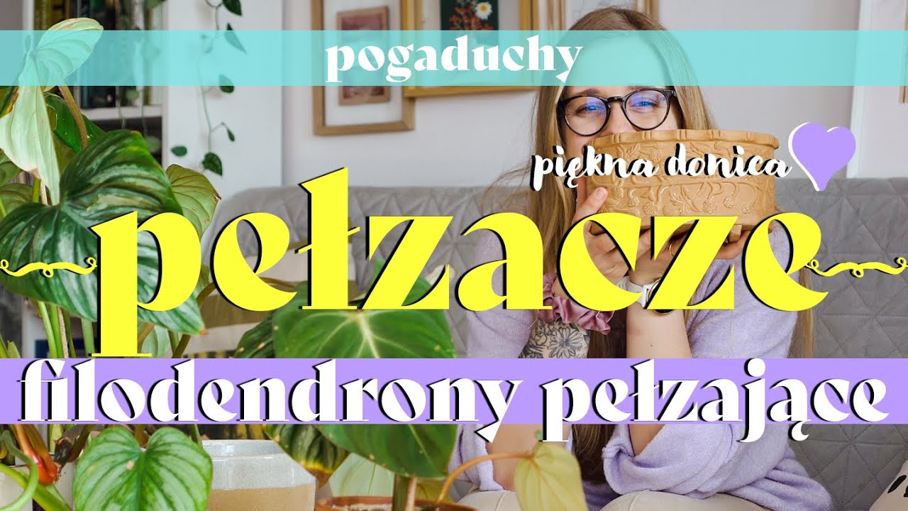 🐛🌱🐍 Co tak leżysz  - filodendrony pełzające | crawlers