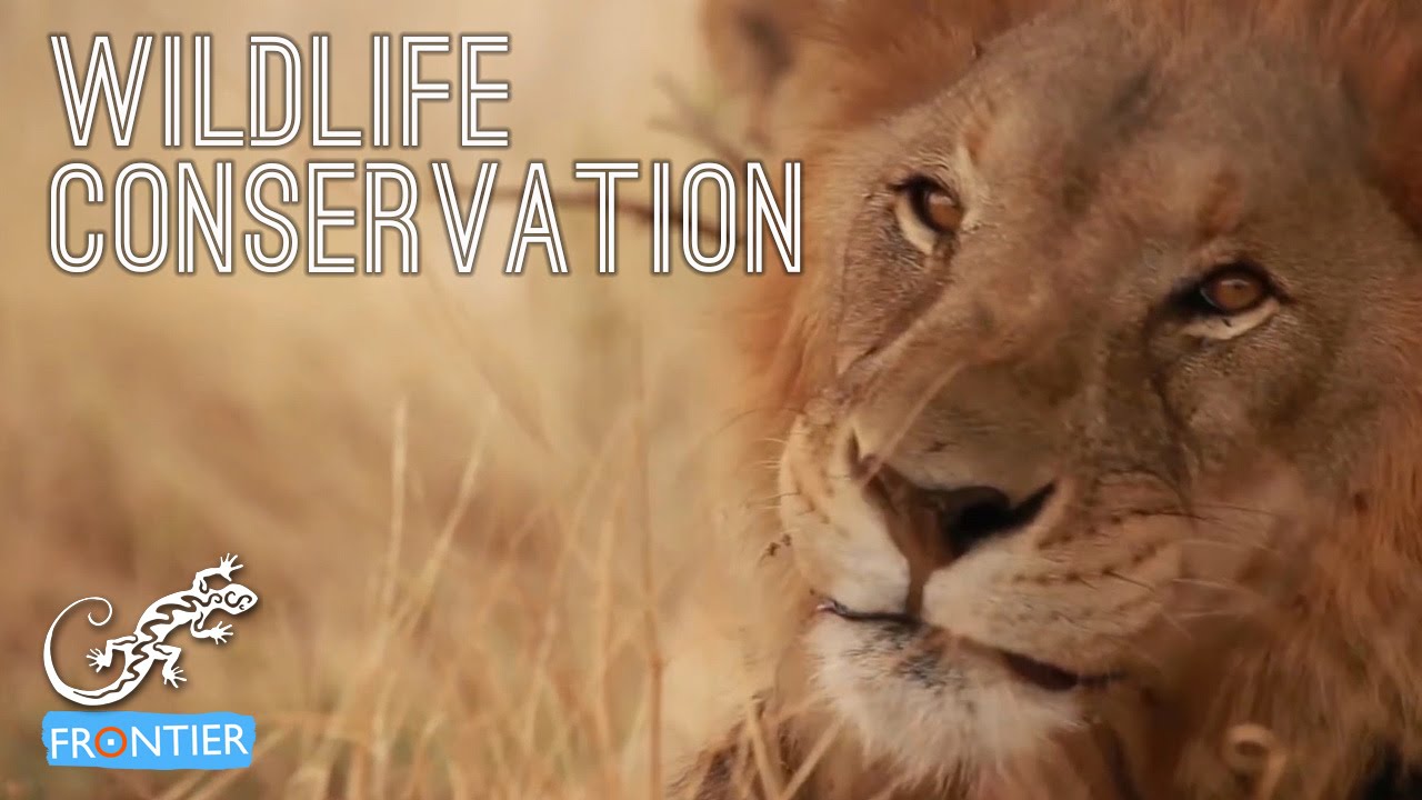 Wildlife Conservation