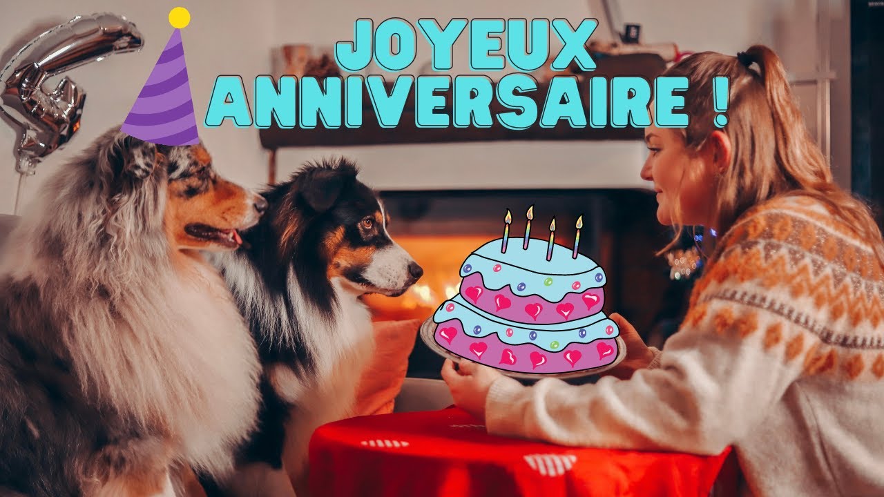 DIY : JE FAIS UN GATEAU D'ANNIVERSAIRE POUR MON CHIEN (encore des bêtises) ♡