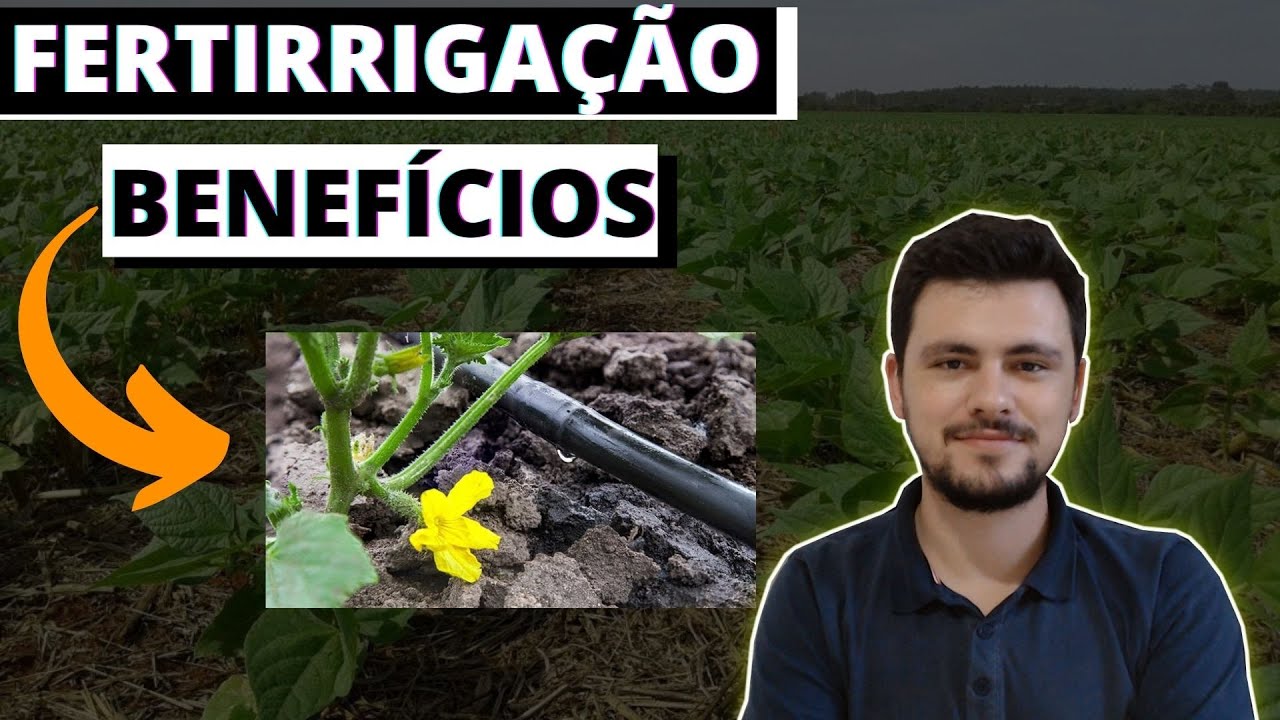 Quais são os Benefícios da Fertirrigação