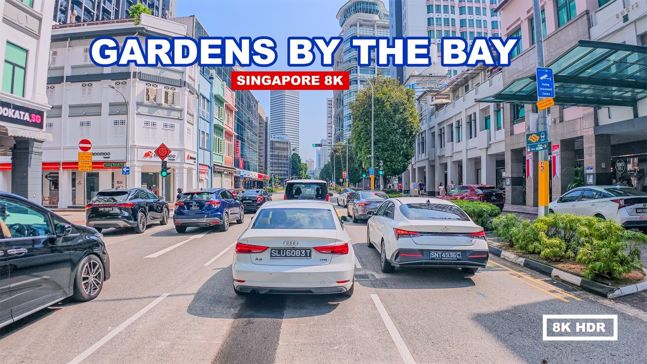 🇸🇬 Relaxing Drive Through Singapore City Centre to Gardens by the Bay | 8K HDR Driving Tour
