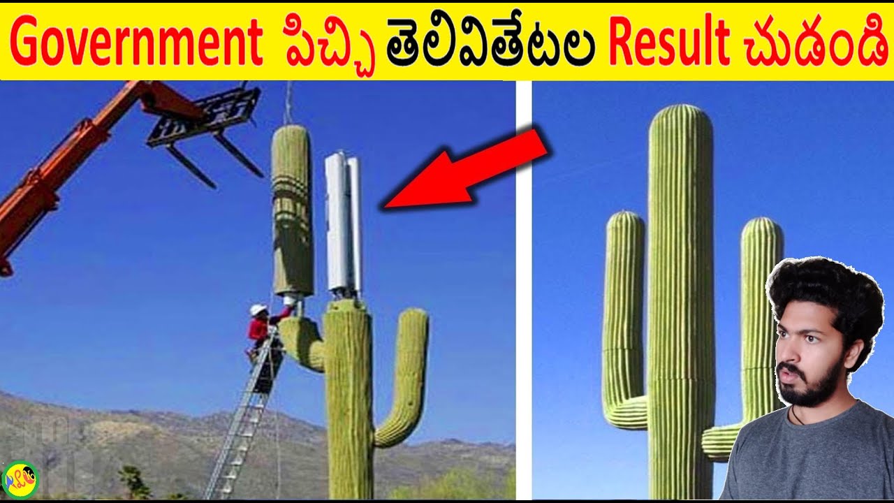 Government వింత తెలివితేటల Result చూడండి || Most Amazing Things Seen Ever Part 78 || ALK Facts