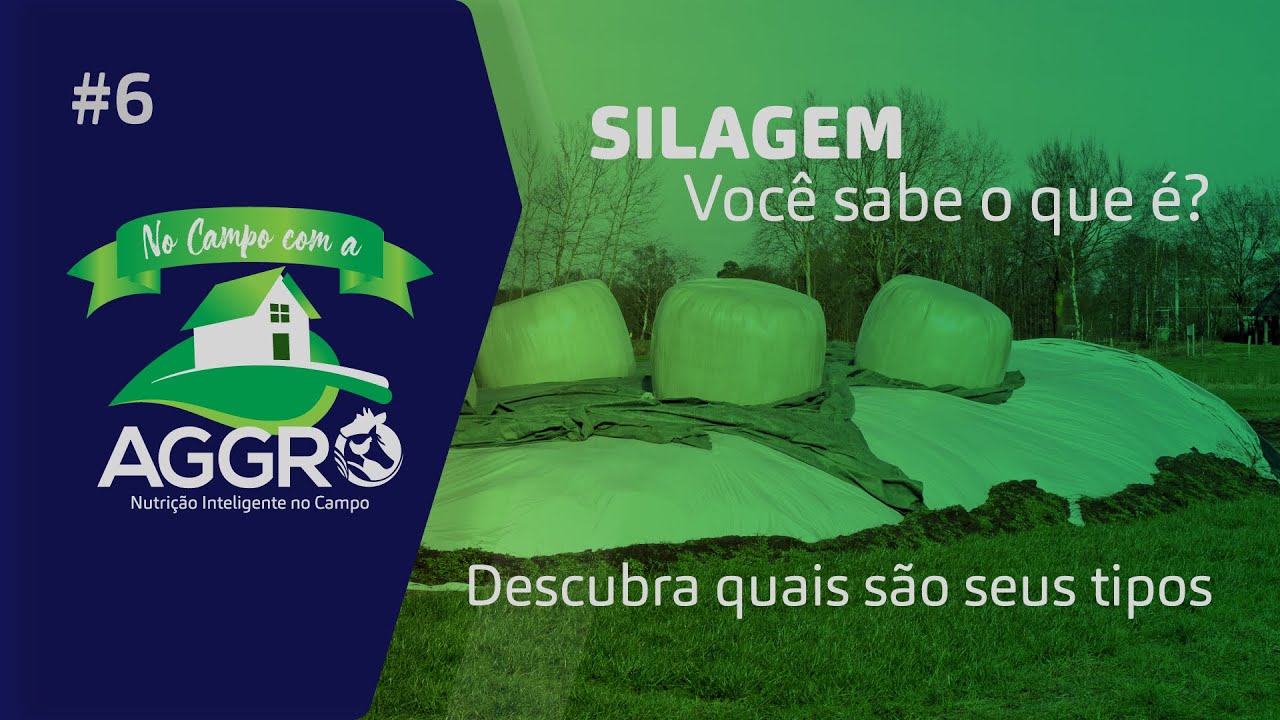 O que é SILAGEM e quais são os tipos? | No Campo Com a Aggro #6