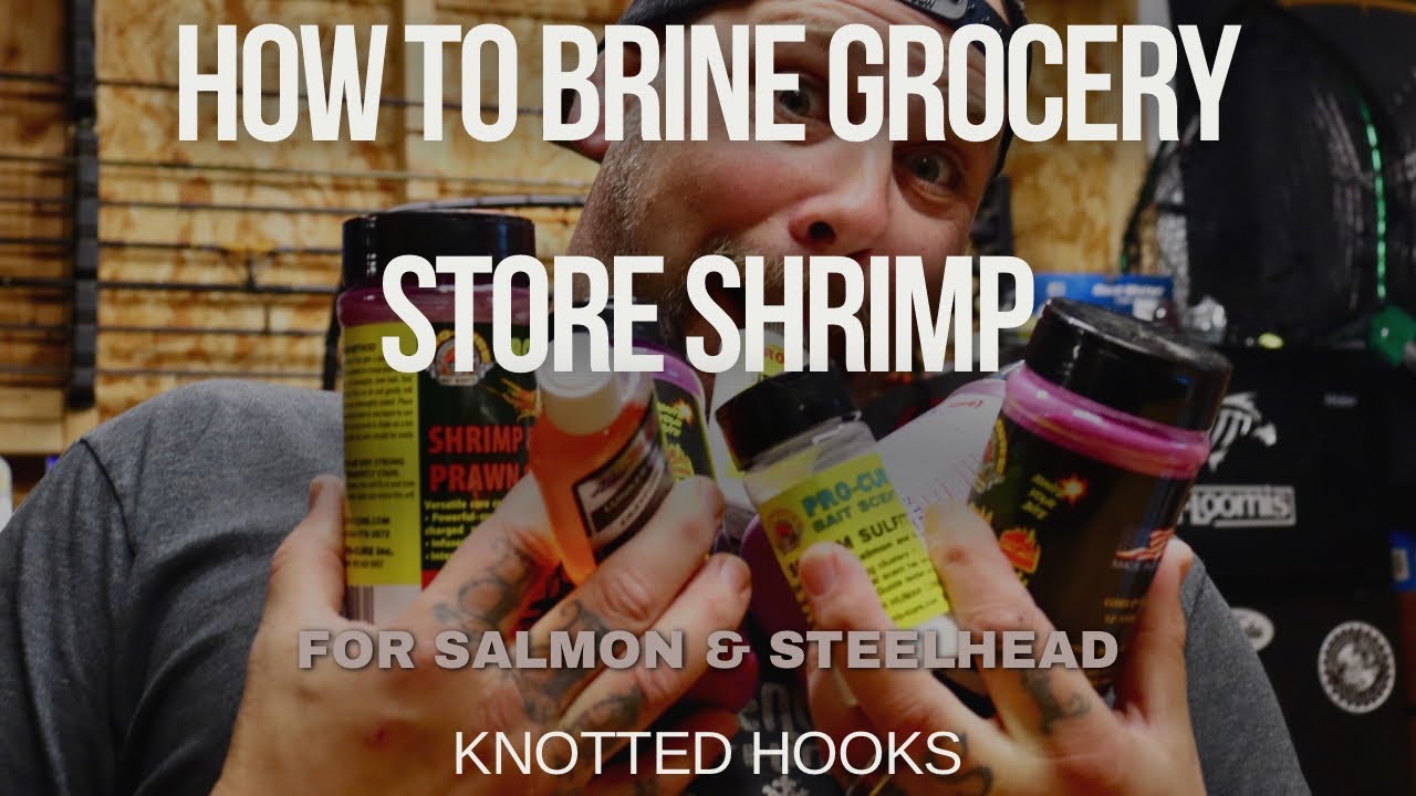 Brining Shrimp for Steelhead