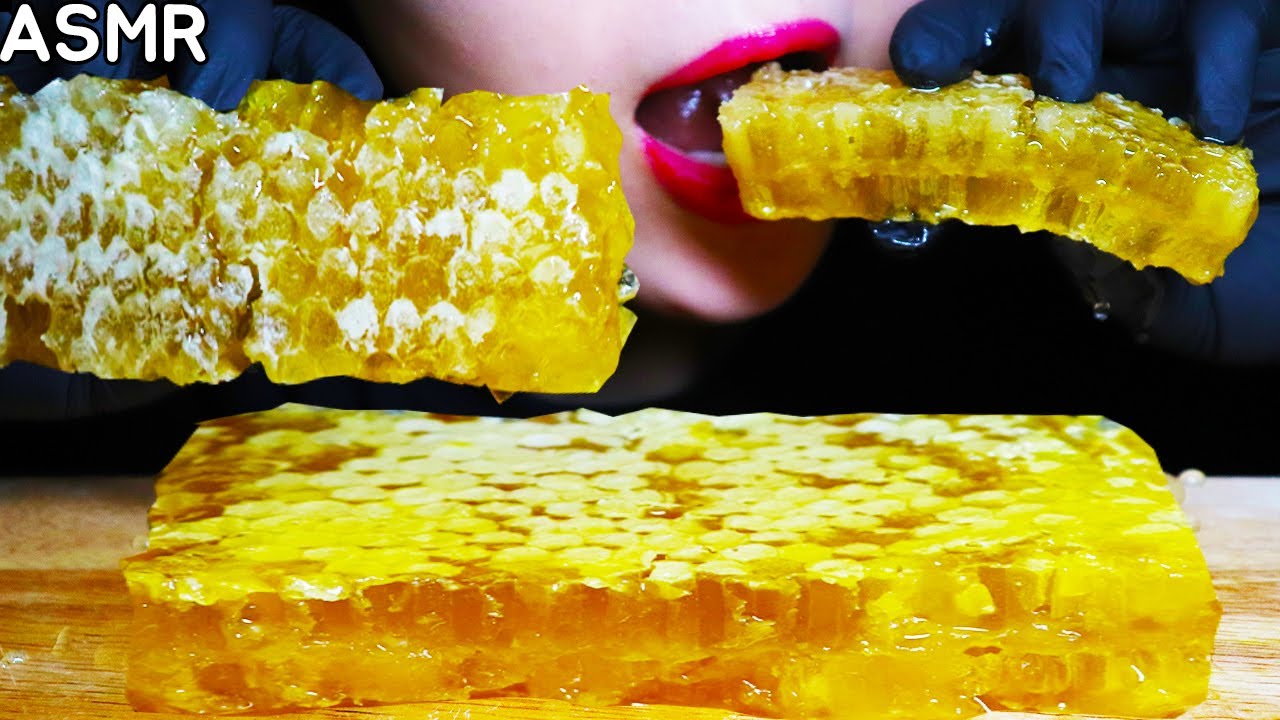 통벌집 아카시아 벌꿀 여름 보양 제대로 찐득! Acacia HONEYCOMB ASMR REAL SOUND NOTALKING