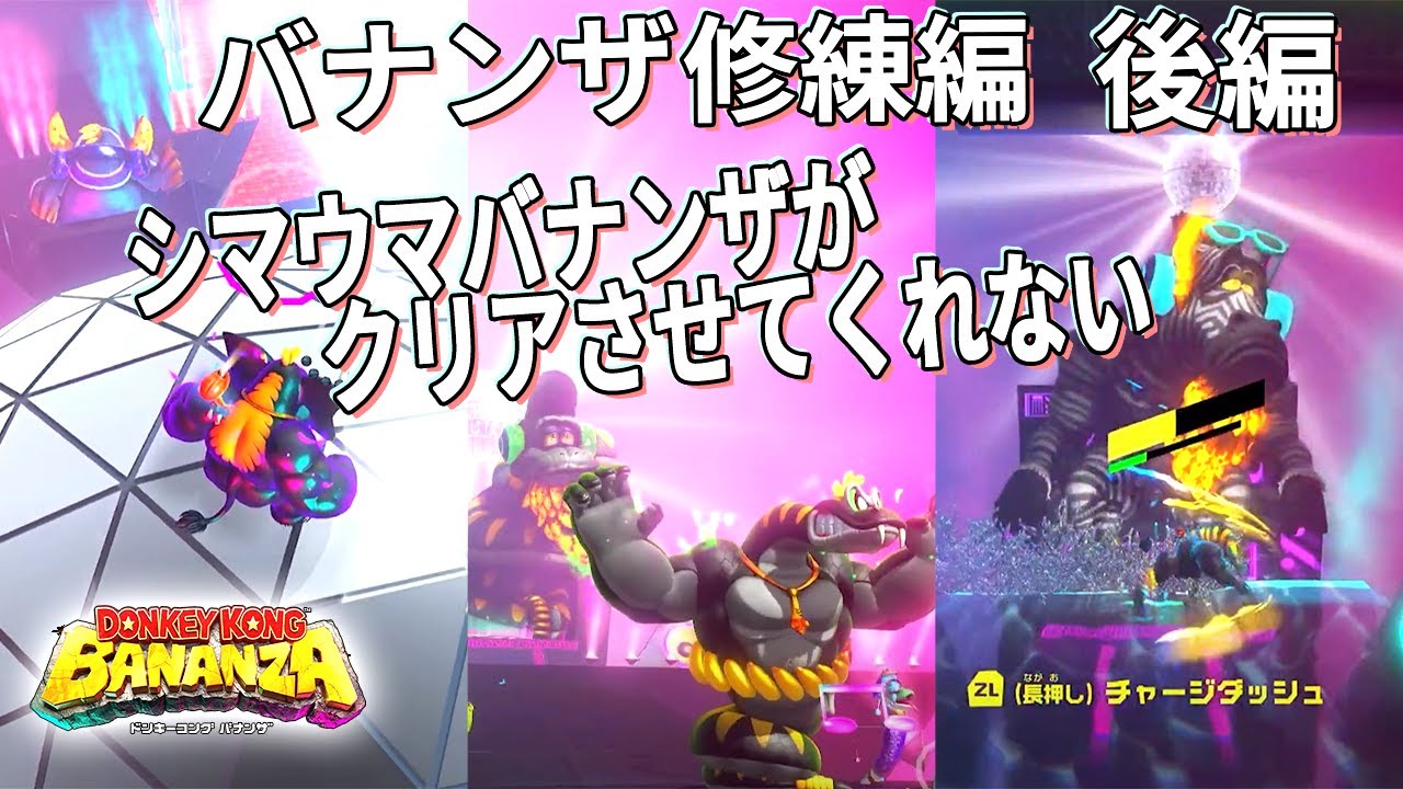 最後の最後でシマウマバナンザが牙を剥く【二人初見プレイ】#ドンキーコングバナンザ攻略 #28
