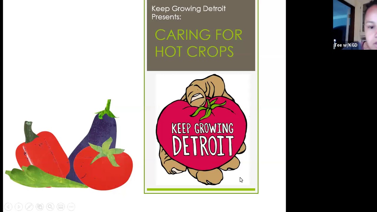 Tips for Growing Hot Crops