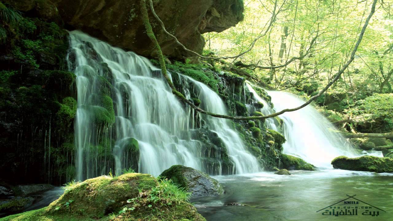 صوت يبكي الحجر, أتقتلون رجلاً أن يقول ربي الله ( مؤثره )