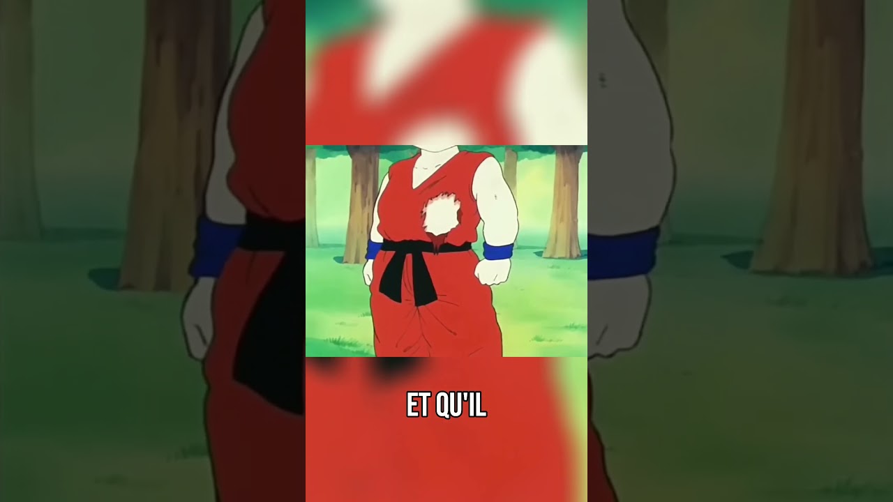 LA PHILOSOPHIE DE VEGETA - 4 