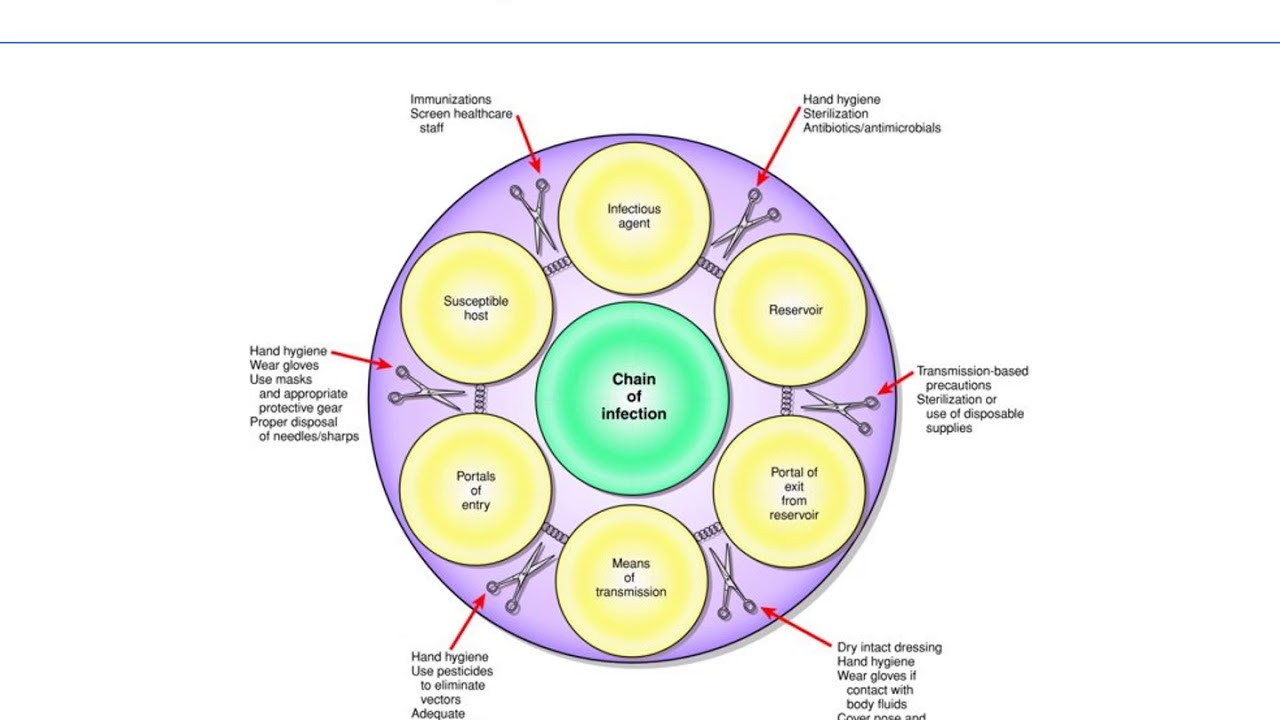 Chapter 24 asepsis and infection