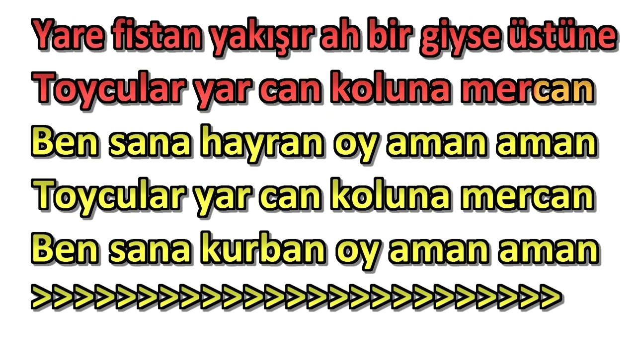 Halay Toycular   Nare Nare Karaoke