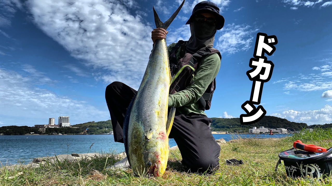 陸から巨大シイラが連発する海が凄い！