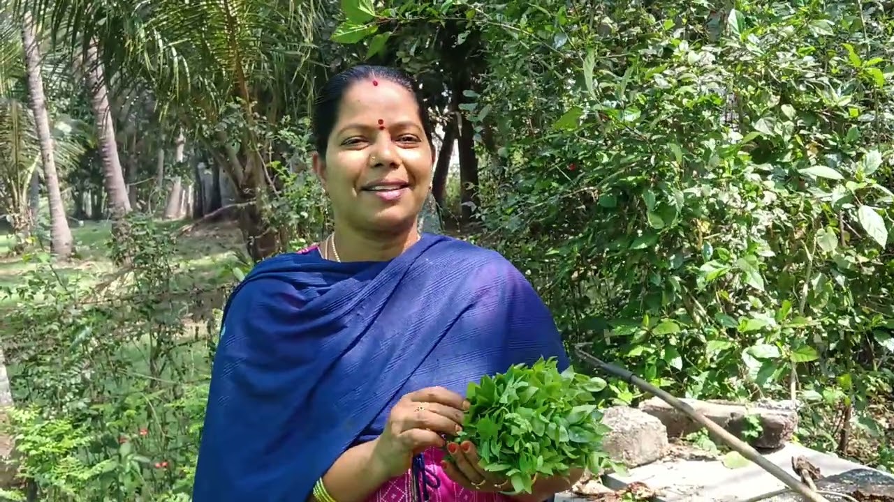 நம்ம தோட்டத்தில் என்ன இருக்குது போய் பார்க்கலாம் 👌🏻👌🏻👍🏻👍🏻