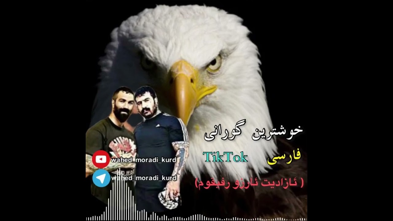 خوشترين گورانى فارسى وحيد مرادي كرد :#محمد_على_خلخالى #آهنگ #جديد #مازندران #وحيد_مرادي ‎#شاد