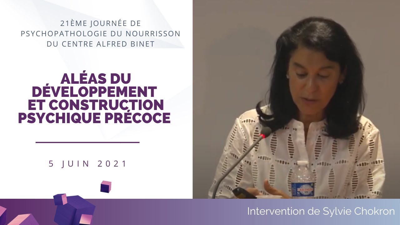 Intervention de Sylvie Chokron