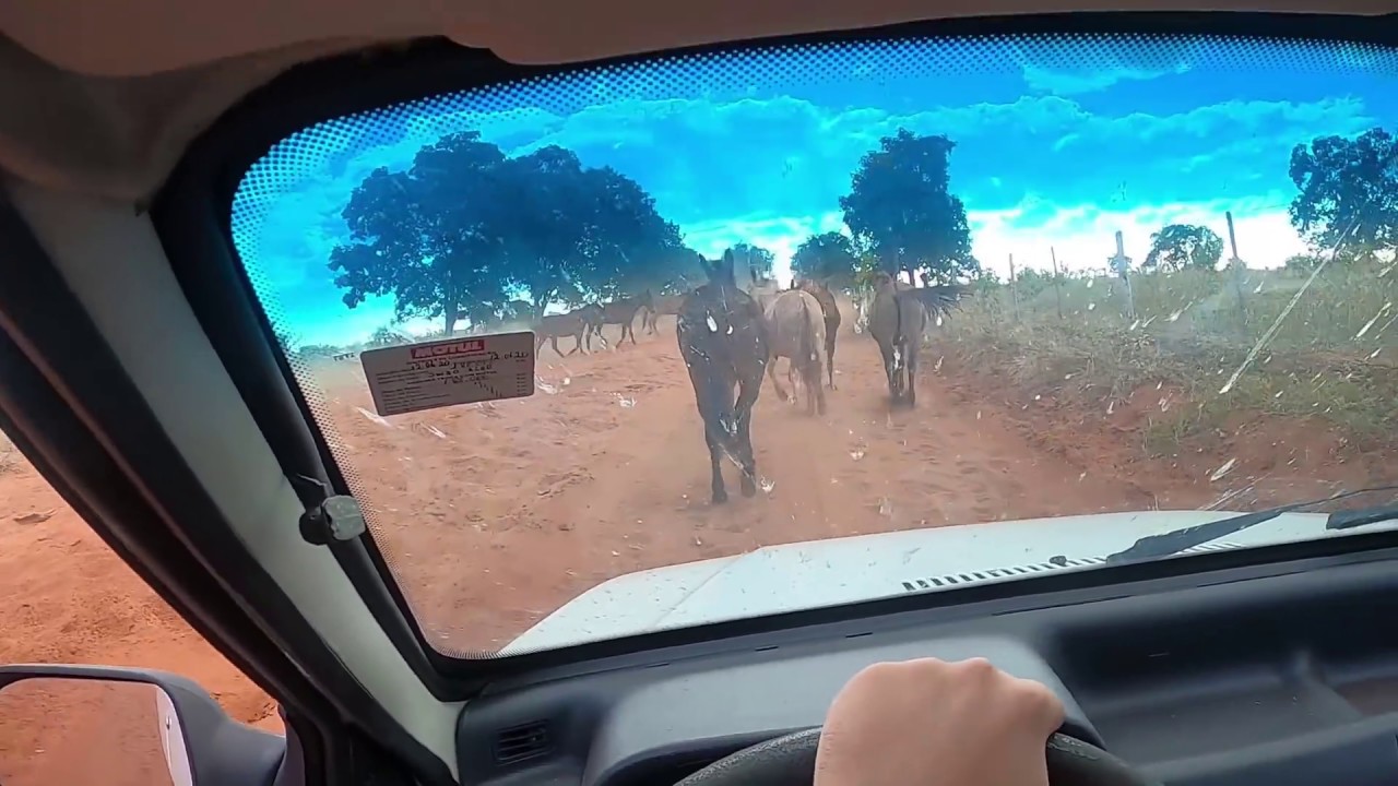 ESMIRILHANDO O UNO NA TERRA!!!