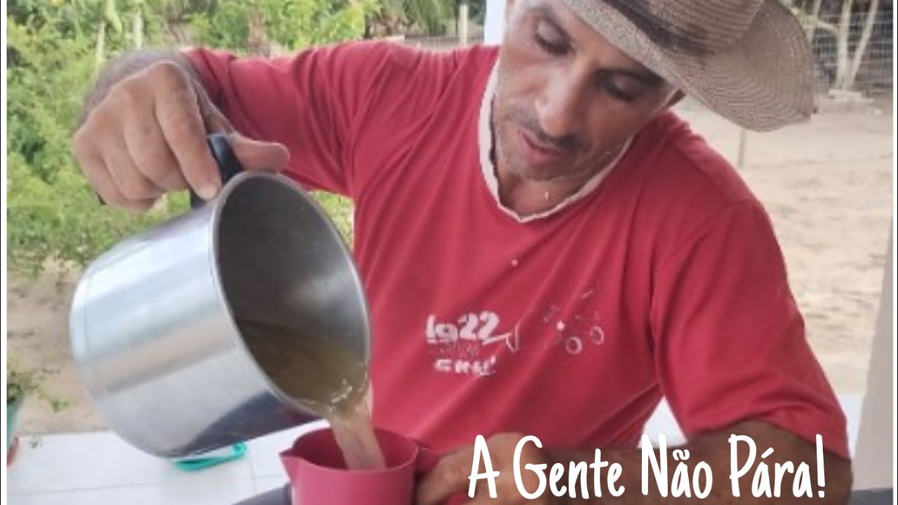 Bora colher as Frutas! Muita coisa por fazer aqui! Dia Produtivo!
