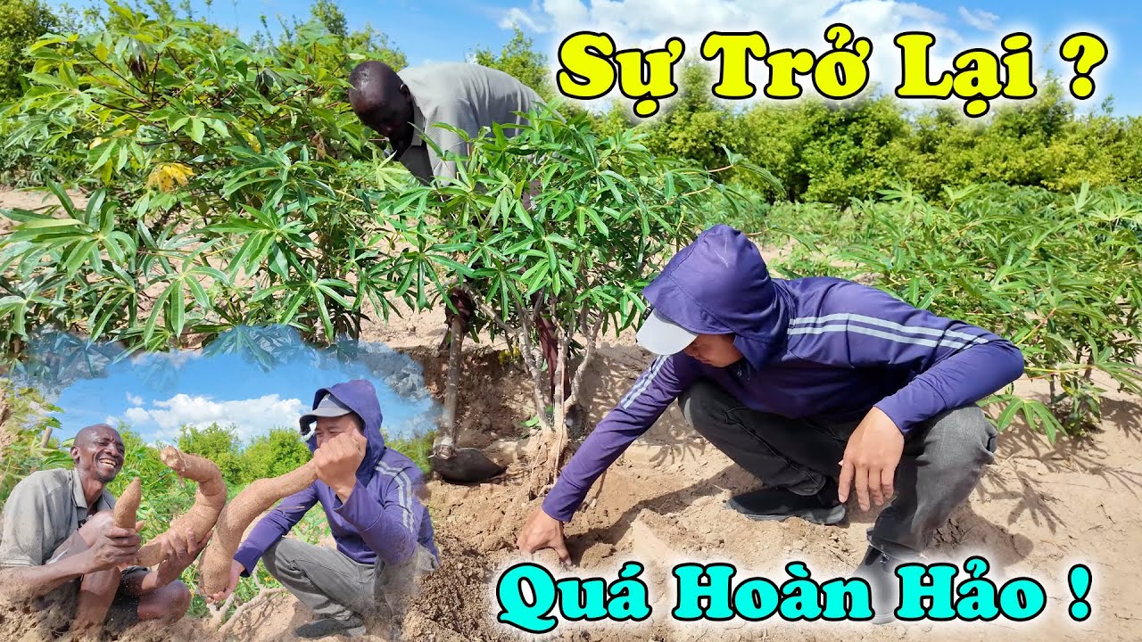 C&ocirc;ng Gi&aacute;p || Thay Đổi Ch&oacute;ng V&aacute;nh ? Giờ Đ&acirc;y Cuộc Sống Của T&ocirc;i Đ&atilde; Thay Đổi ! CẢM ƠN VIỆT NAM !!!