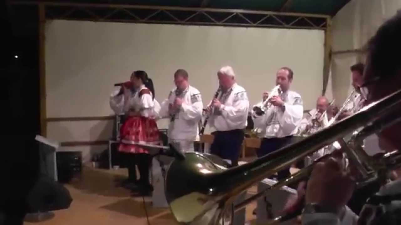 DRIETOMA 2014 VLCNOVJANKA ZABAVA 2