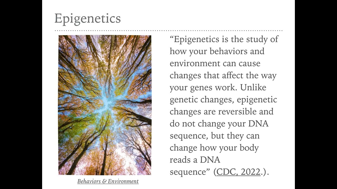 Emotional Inheritance, by Dr. Galit Atlas' - Book Review