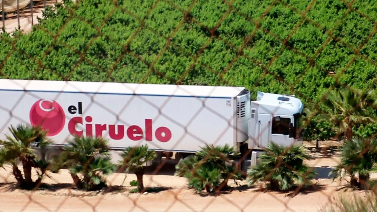¿Cómo hacer un uso sostenible de los recursos? | Grupo El Ciruelo