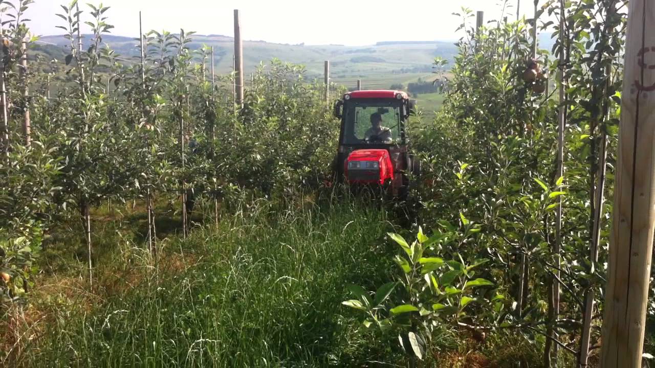 Utilaje agricole pentru pomicultură
