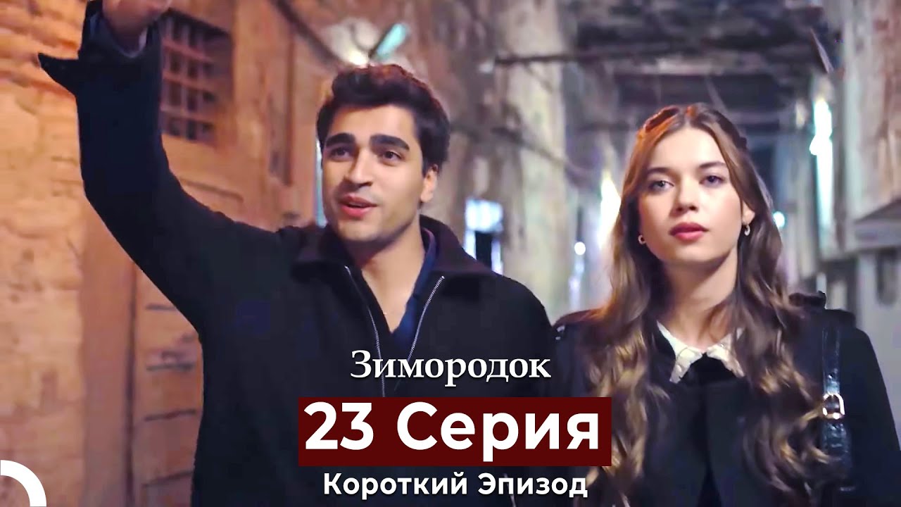 Зимородок 23 Cерия (Короткий Эпизод) (Русский дубляж)