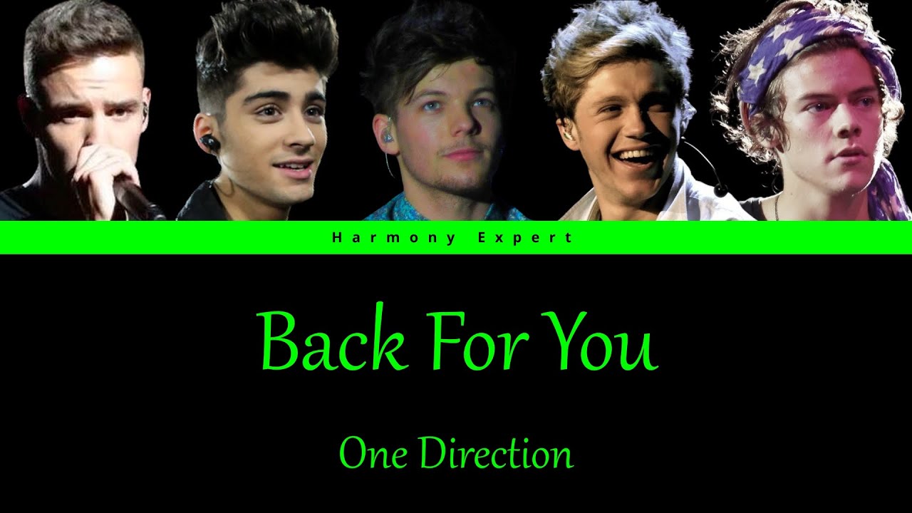 One Direction - Back For You - Color Coded Lyrics