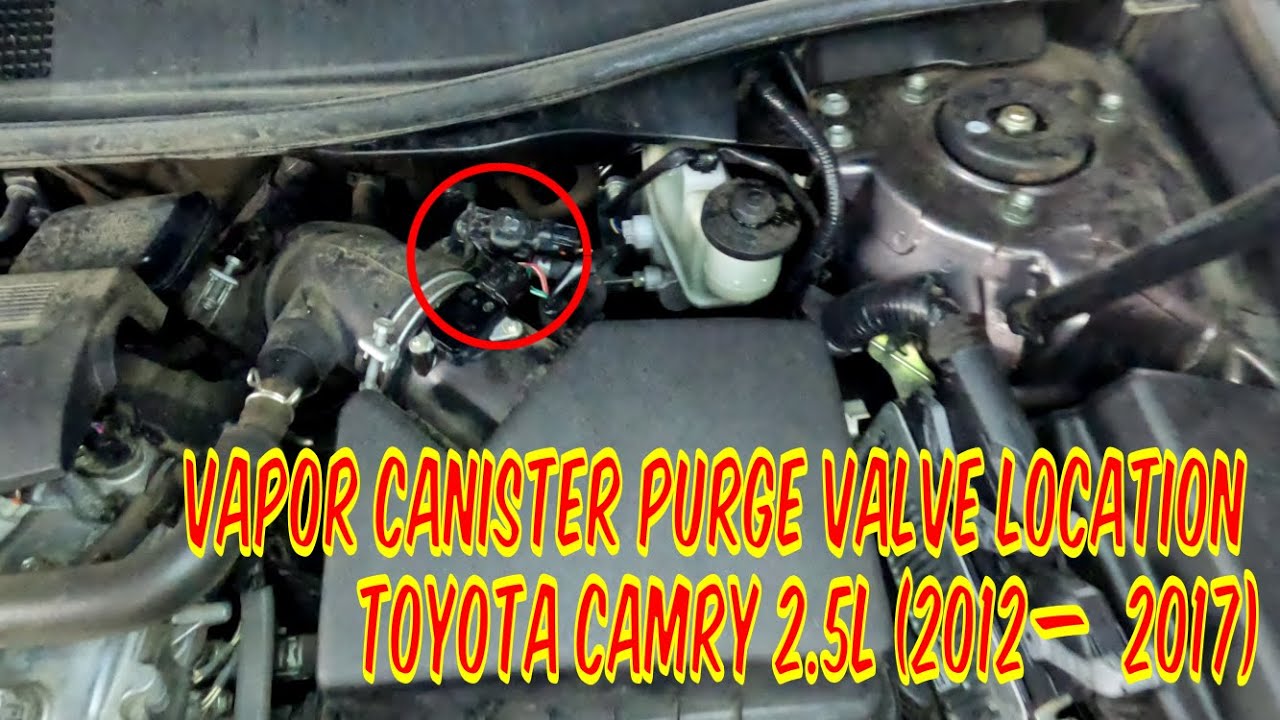 Toyota Camry Vapor Canister Purge Valve Location (2012-2017, 2.5L Engine)