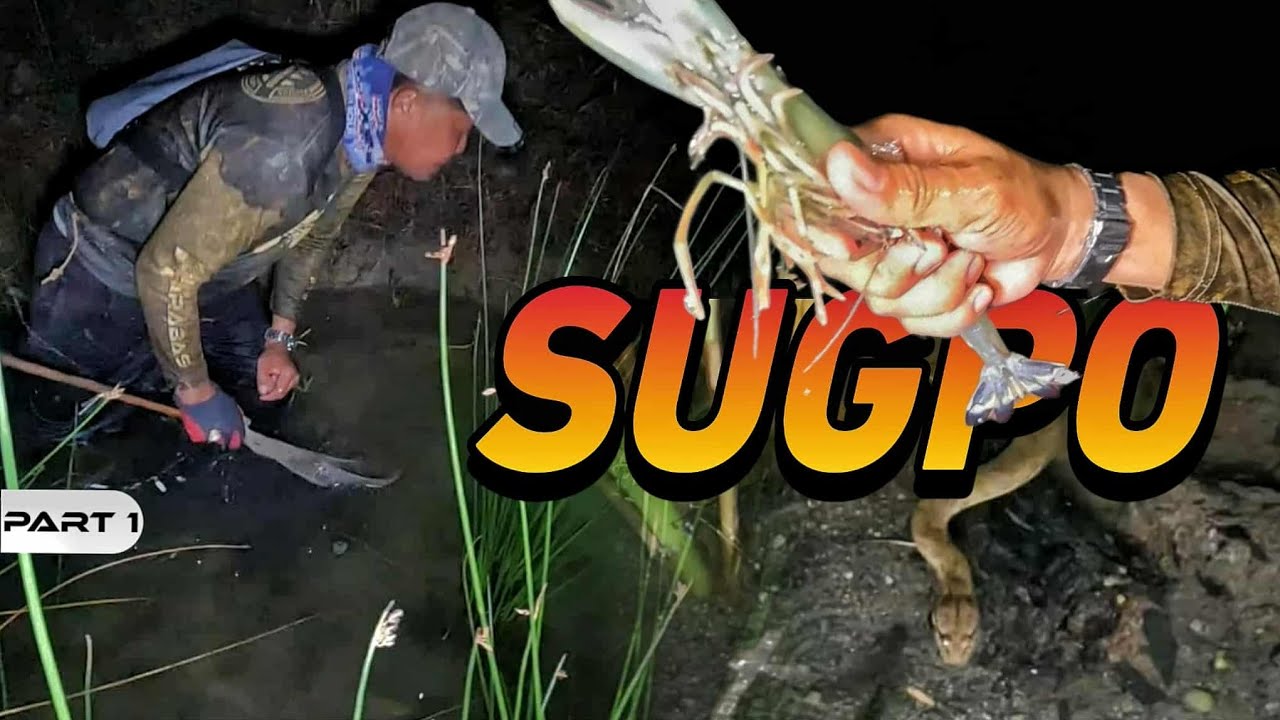 P1 - Anlalaki ng Sugpo - EP2080