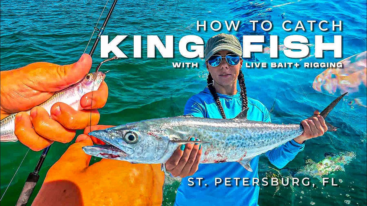 Турнир Kingfish: как поймать королевскую макрель на живую наживку в Сент-Питерсберге, Флорида