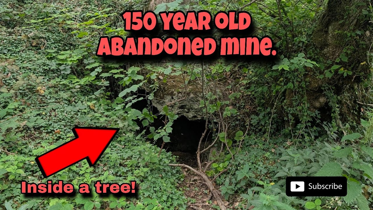Old Mine Workings Inside A Tree! Look Inside One Of Derbyshire's Abandoned Lead Mines.