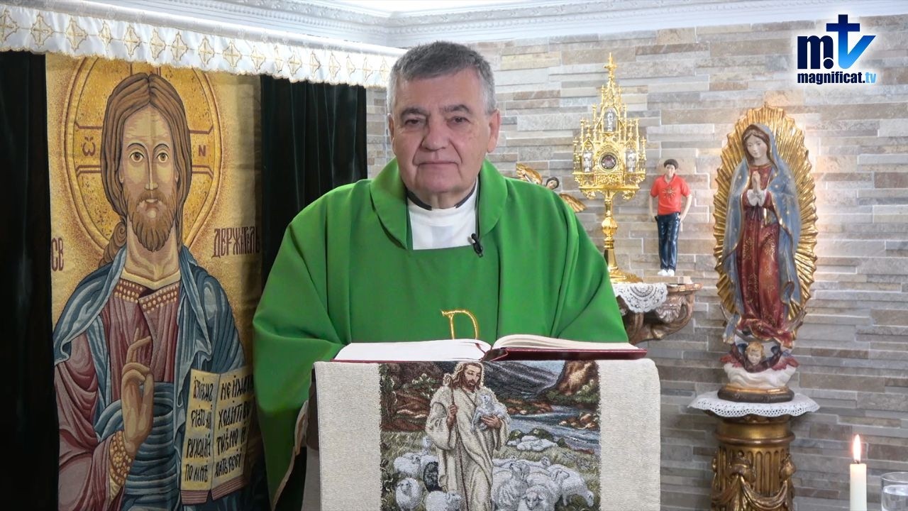 “No Exijas, Pide y Agradece” | Homilía, Lunes VI Semana del T.O. (16-02-2026) | P. Santiago M.