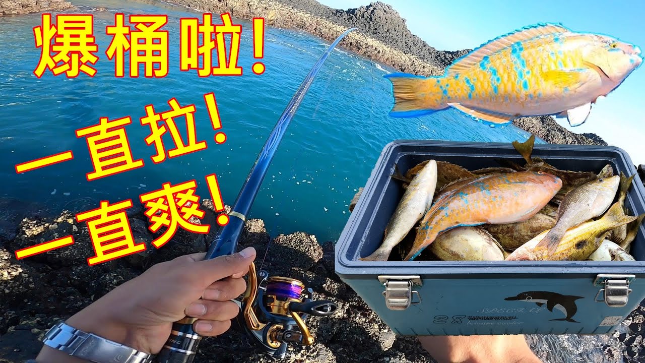 【來找大緯釣魚啊】久違的噴線！拉竿！爆桶啦！！！【小女人嶼】【澎湖磯釣】【大緯釣魚趣】