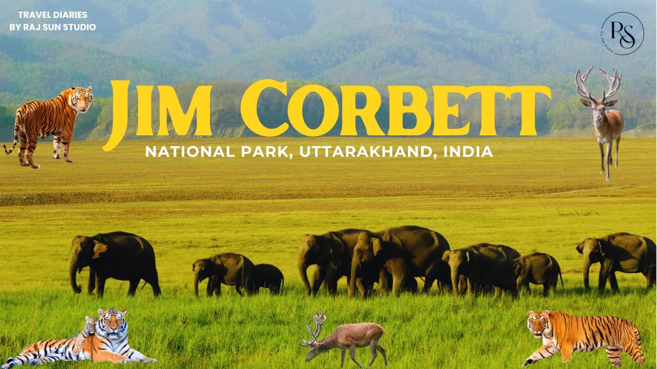 Jim Corbett National Park | New Year 2026 Celebration | Jungle Safari Adventure | Raj Sun Studio