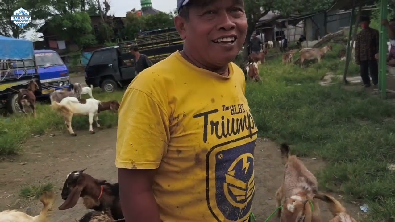 Update harga Kambing 27 Feb 2026, di pasar hewan Gubug, Jateng.