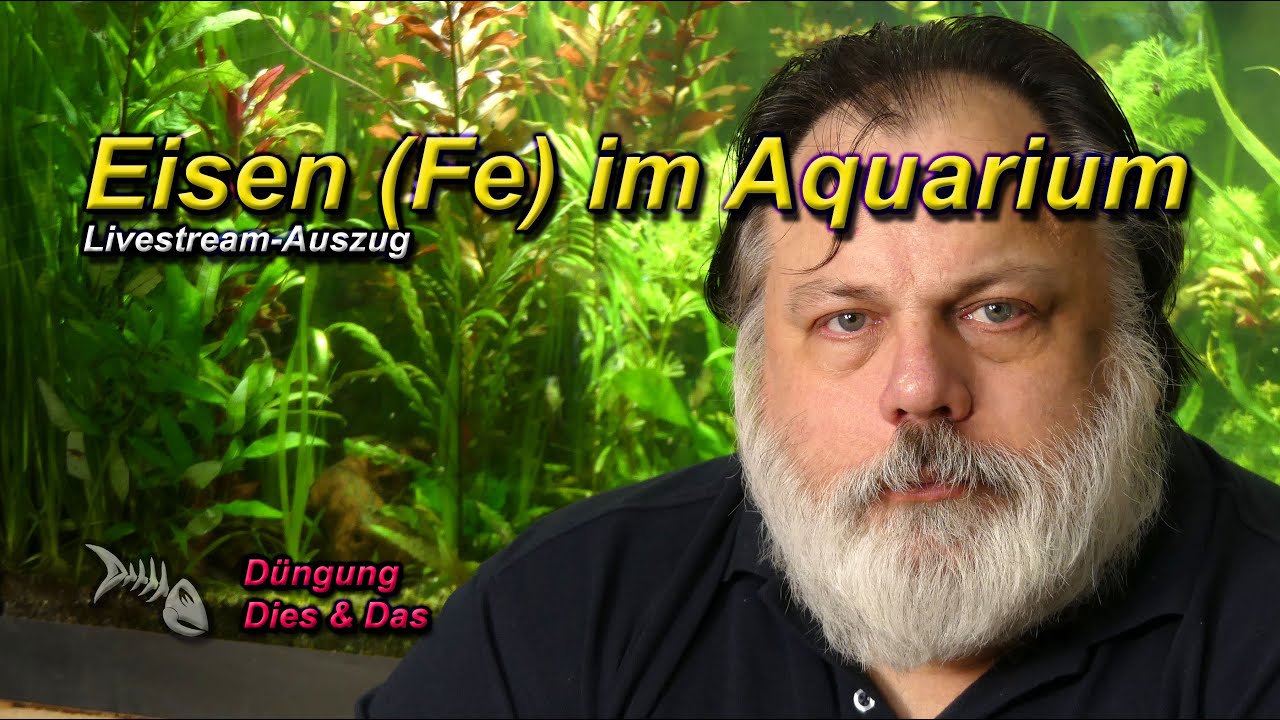 ALLES RUND UM EISEN (FE) IM AQUARIUM