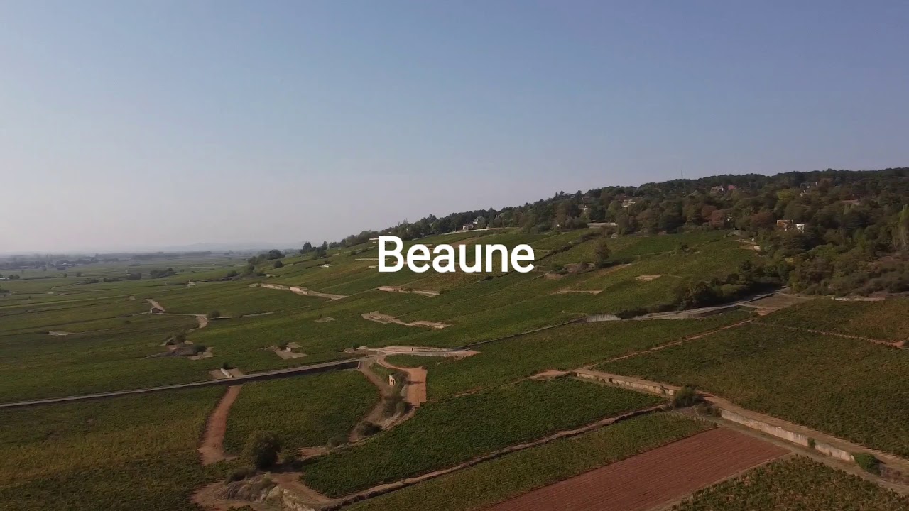 Domaine Chanson - Introduction