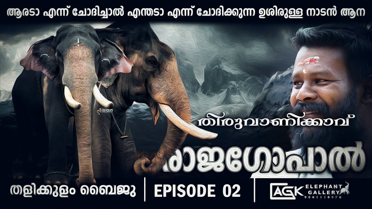 ആരടാ എന്ന് ചോദിച്ചാൽ എന്തടാ എന്ന് ചോദിക്കുന്ന ഉശിരുള്ള നാടൻ ആന | തളിക്കുളം ബൈജു | EPISODE 02
