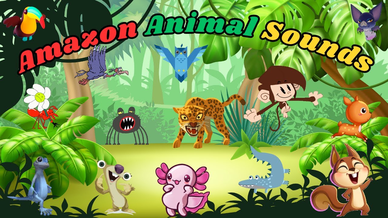 Amazon Animal Sounds Song | Nursery Rhymes For Kids | Kids TV Education